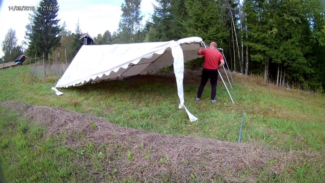 Sette opp party teltet