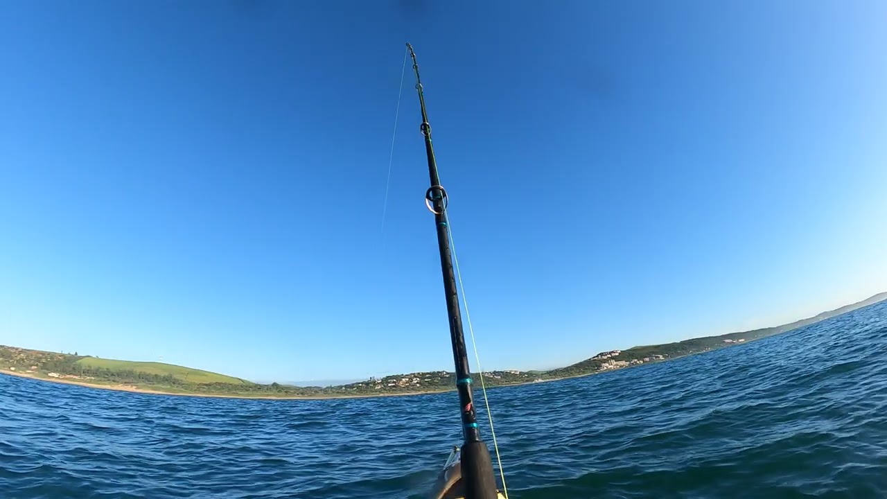 Королевская макрель весом 23,5 кг, выловленная с каяка