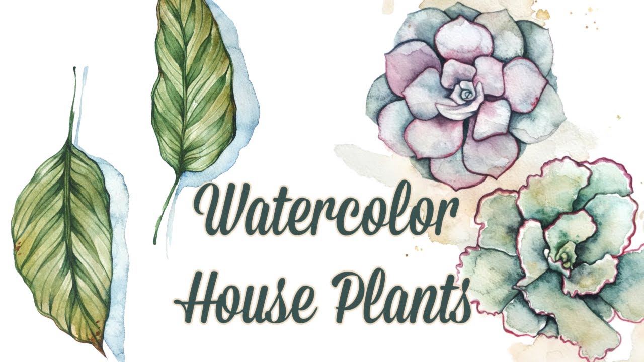 Paint with me - Watercolor House Plants