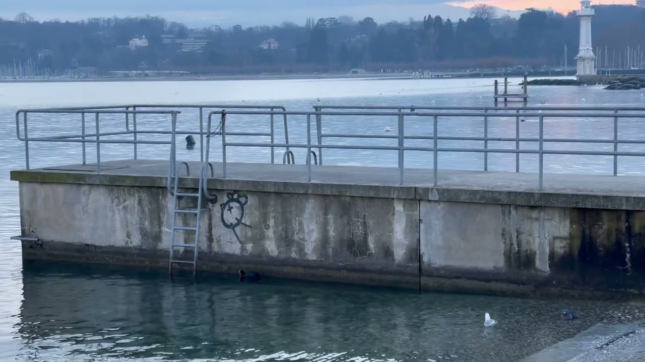 Walk with me - Bains des Pâquis, Geneva, Switzerland