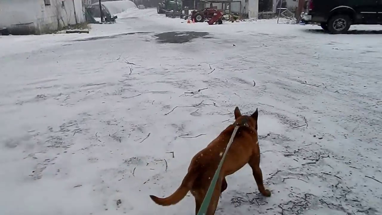 Storm Stella makes the Farm an Icy Mess
