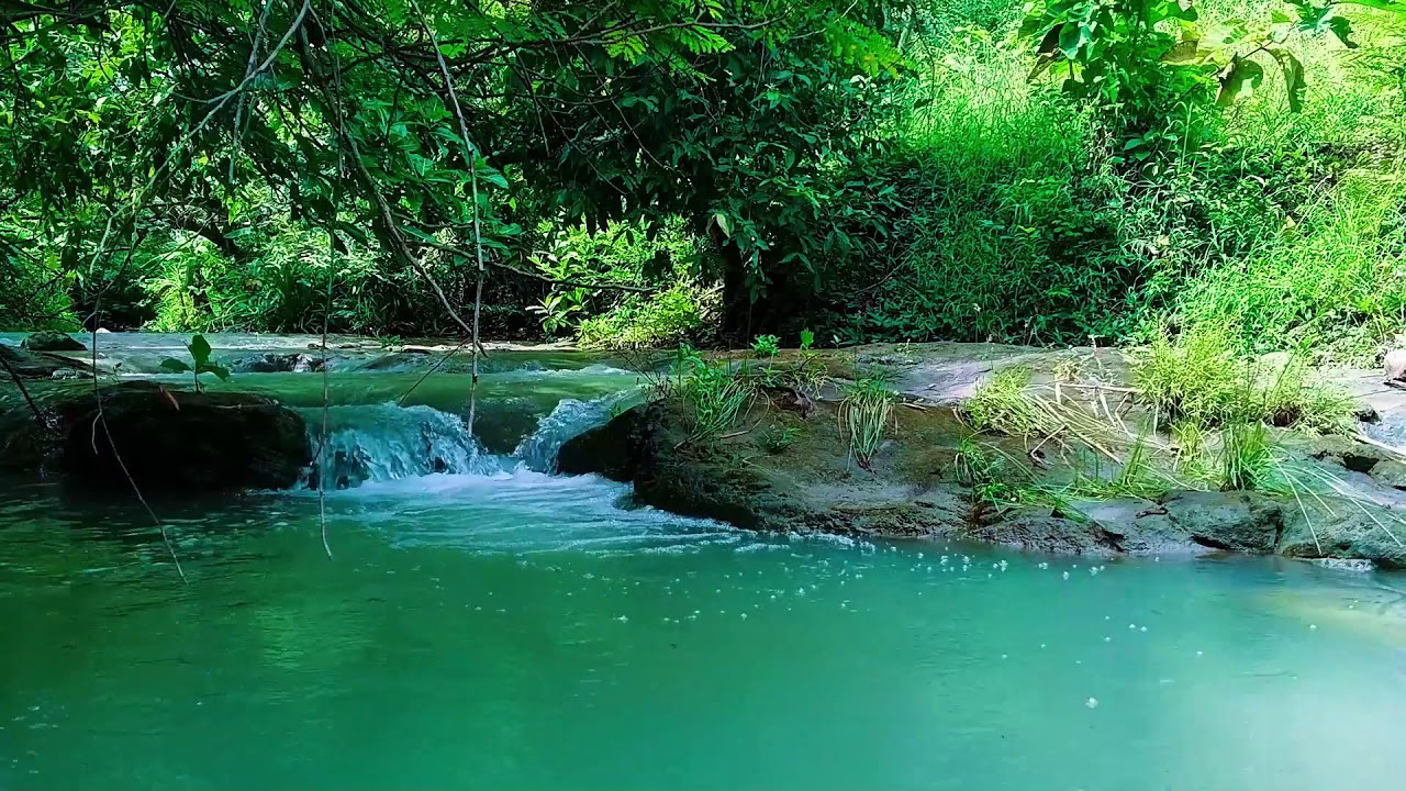 Waterfall Sounds for Studying – Study Better with Calming Waterfall Noise