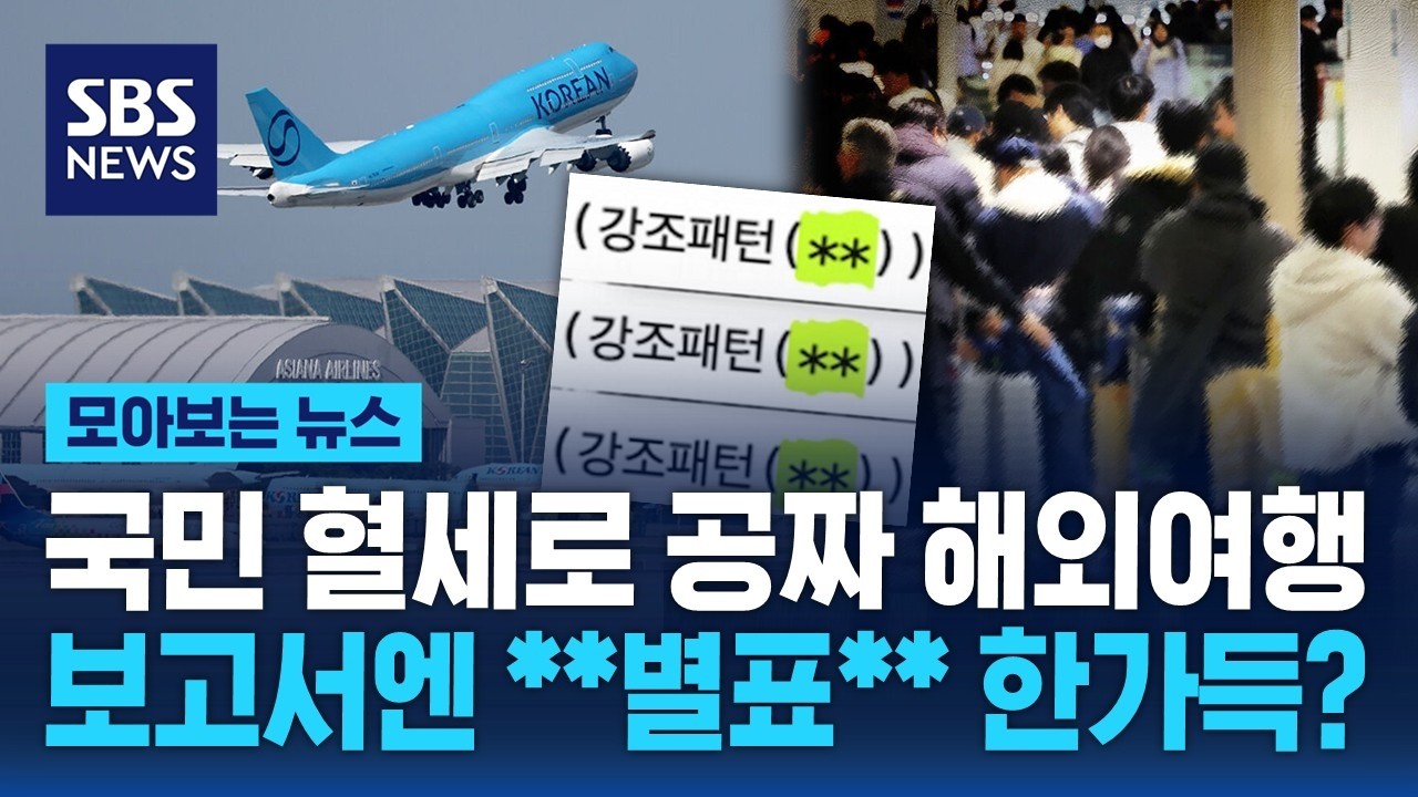 국민 혈세로 공짜 해외여행…보고서는 몇 분만에 '딸깍' / SBS / 모아보는 뉴스