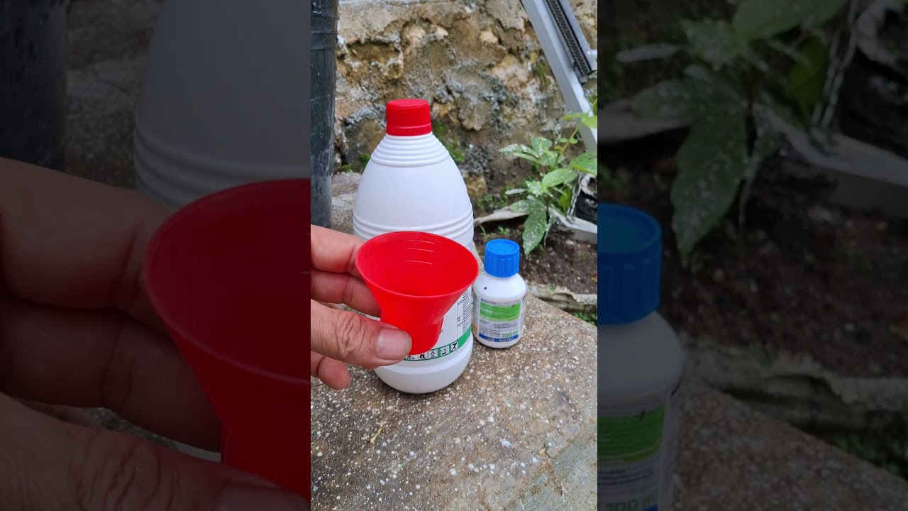 Dosis roundaf dan garlon untuk membasmi gulma dan anak kayu