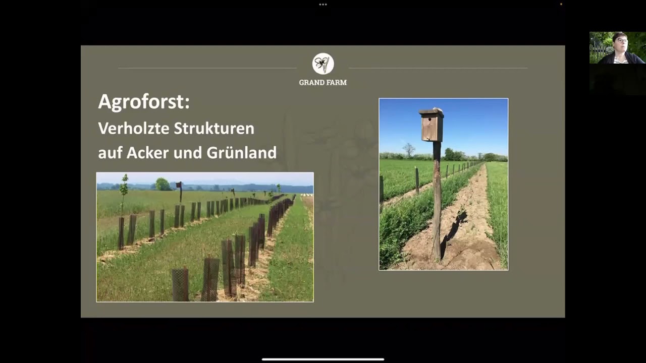 Mehrnutzungshecken- der natürliche Pflanzenschutz