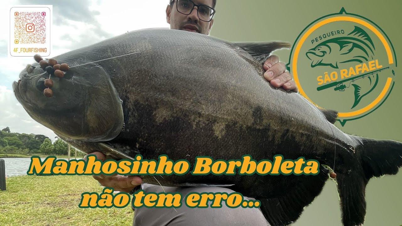 Temporada moendo até com muito vento no Pesqueiro São Rafael 