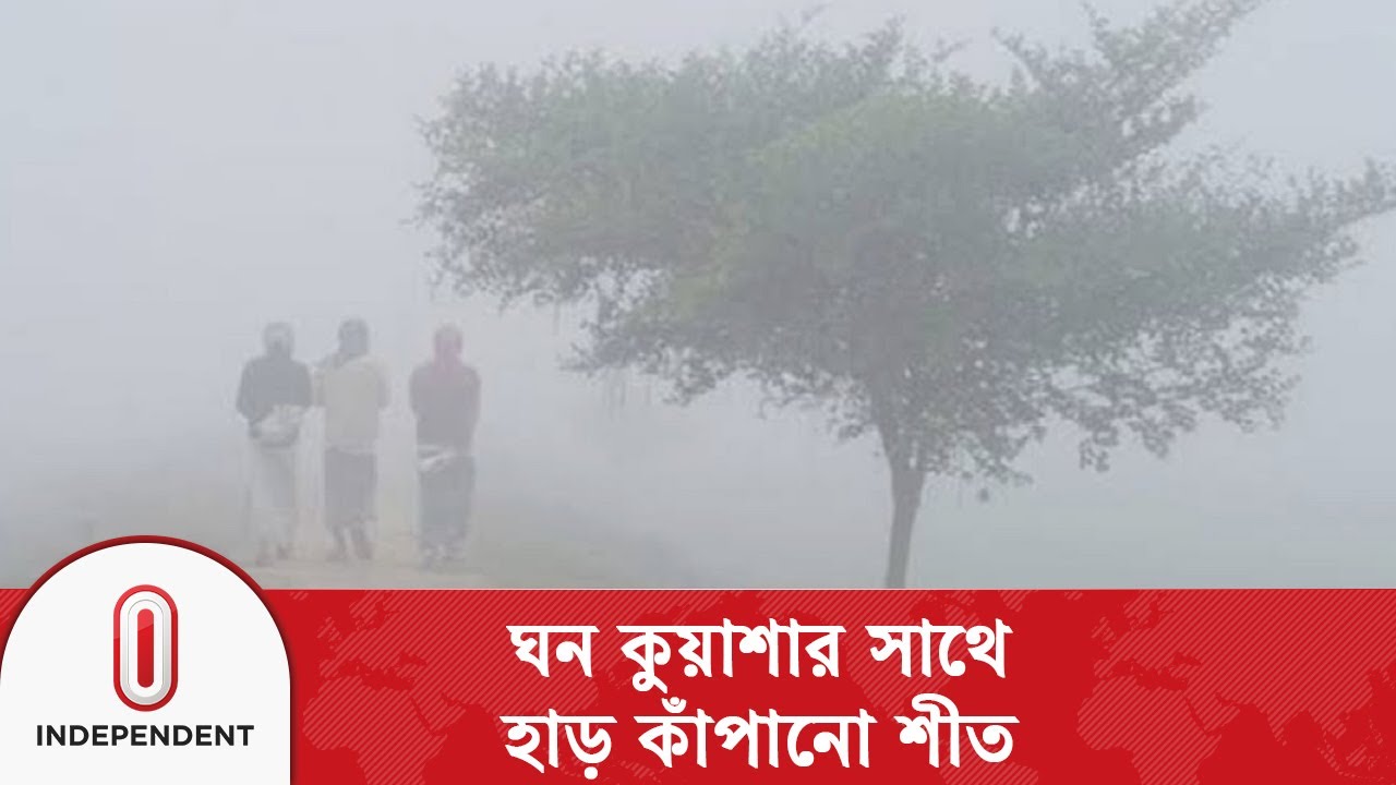 দিনাজপুরে রাত থেকে সকাল পর্যন্ত বৃষ্টির মতো ঝরে কুয়াশা | Independent TV