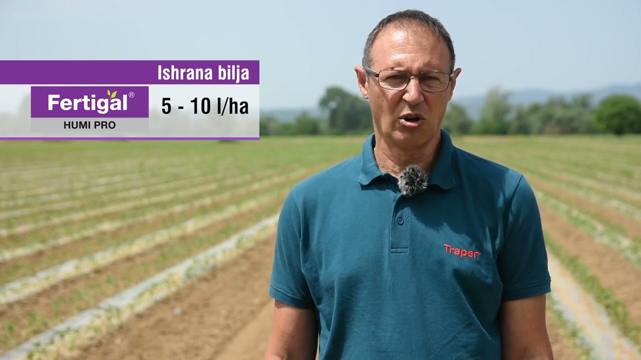 Ishrana paprike i suzbijanje lisnih vaši