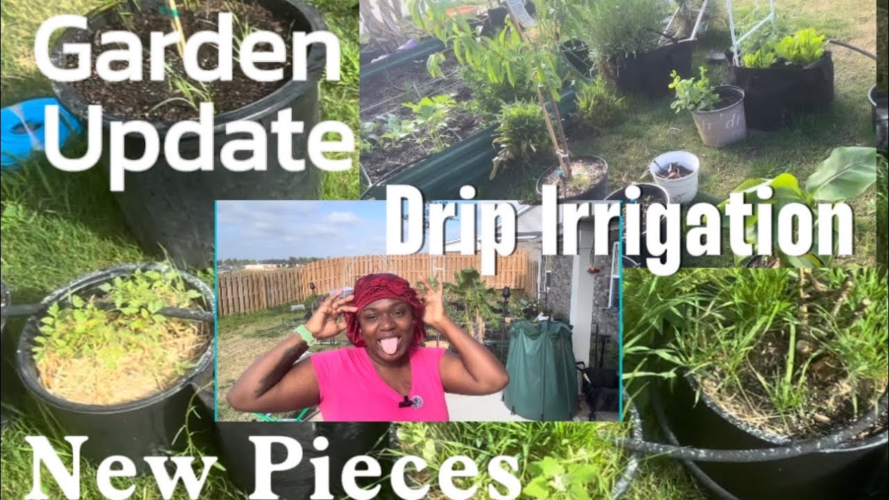 Garden update. Drip irrigations problems.