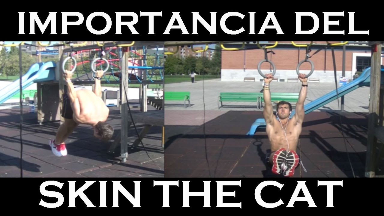 SKIN THE CAT. Su importancia, progresiones y errores frecuentes.