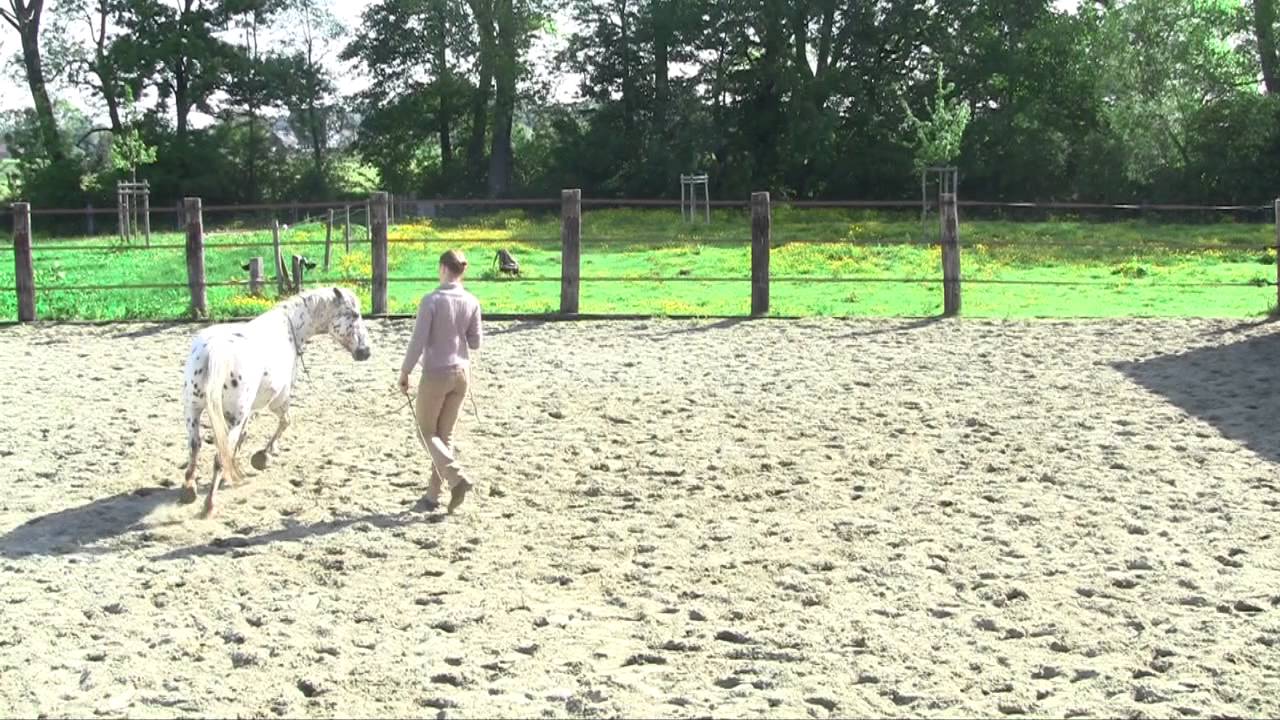 Cirkelwerk met de halsring