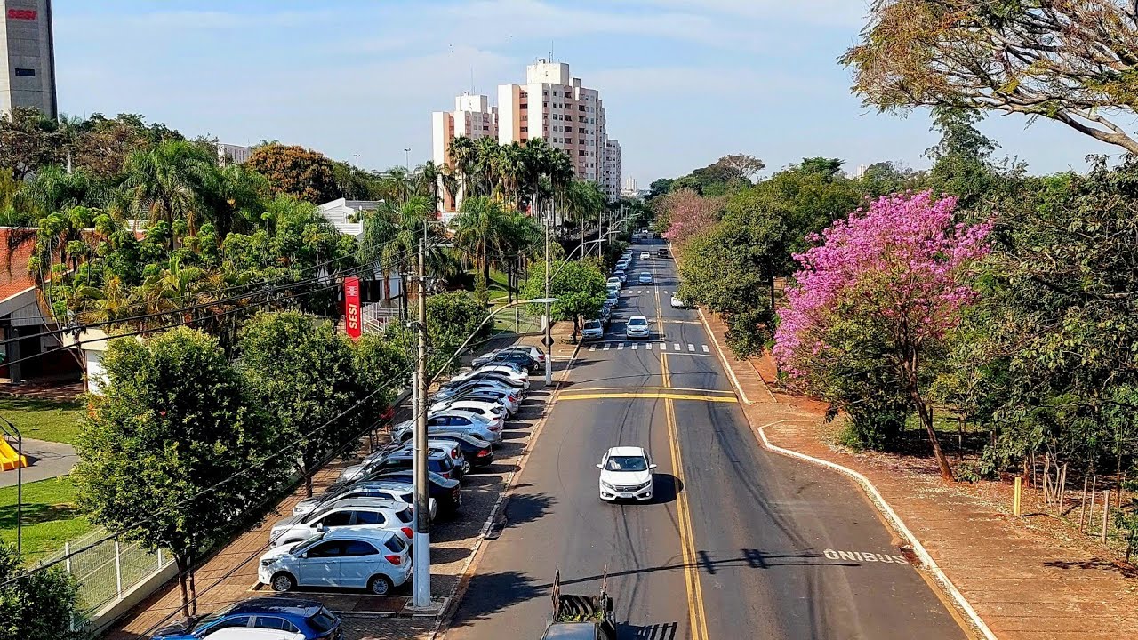 AMERICANA-SP QUE VOCE N&Atilde;O CONHECIA, Natureza Exuberante!!