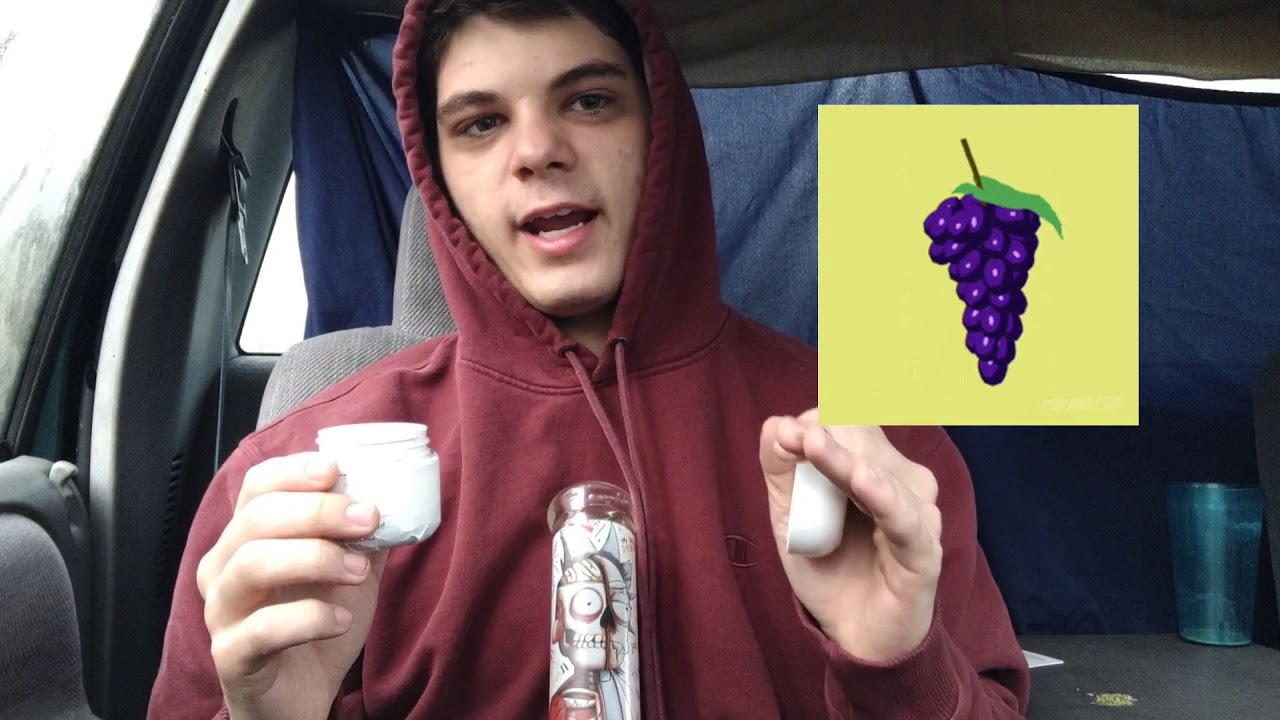 Sunflowers & Tulips Strain Review - Trulieve Florida