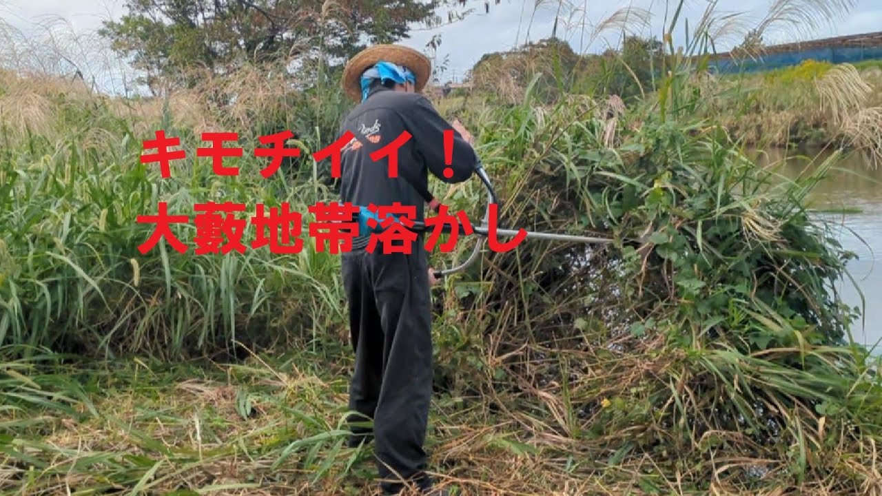 「草シバキ」太い茨密集地帯を一斉退治ASMR