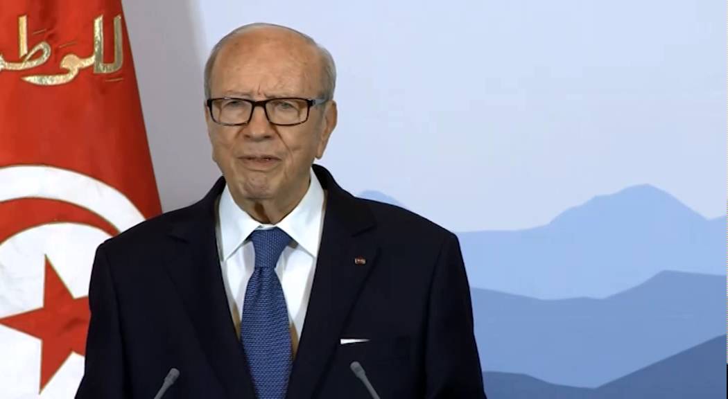 السبسي للرئيس السويسري: كان مبرمجا ان نتحدث بالفرنسية لكن كما تحدثتم بلغتكم سأتحدث بالعربية