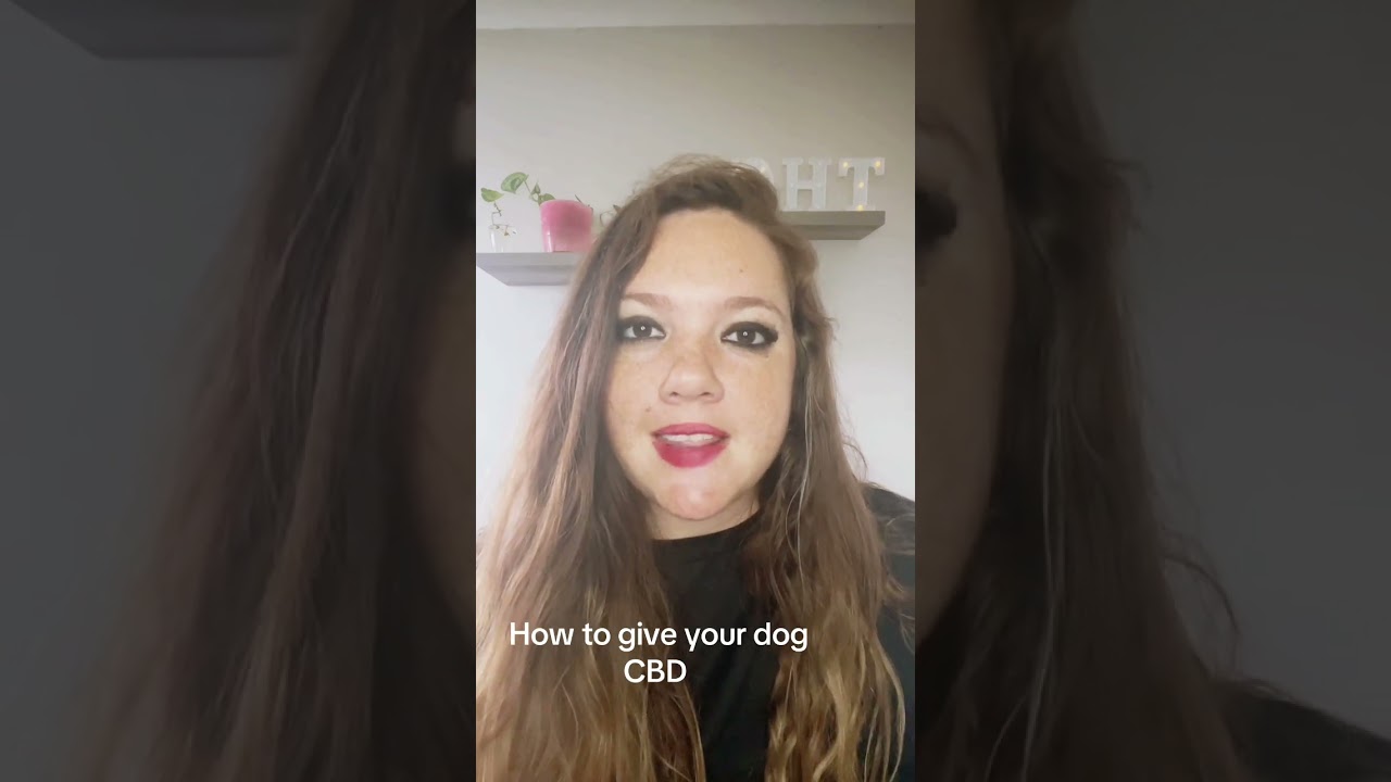 How to give your dog CBD #cannabiscures #cannabissociety #cannabisheals #cbdeducation