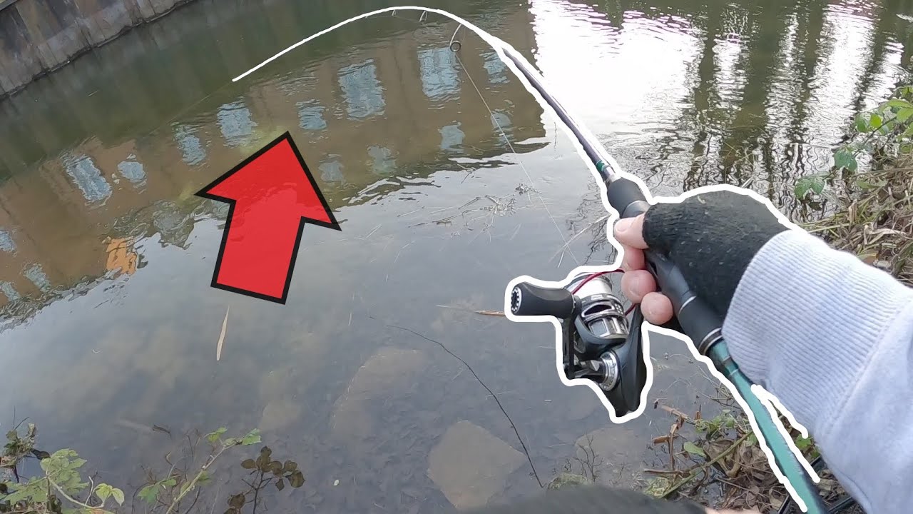 This Big River Fish Was NOT Supposed to Eat The Lure!
