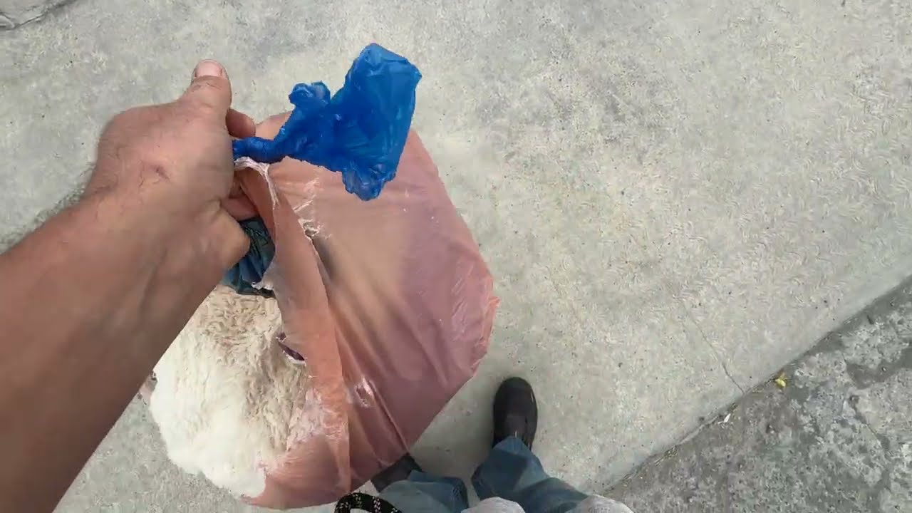 Mira lo que nos dejaron aquí 