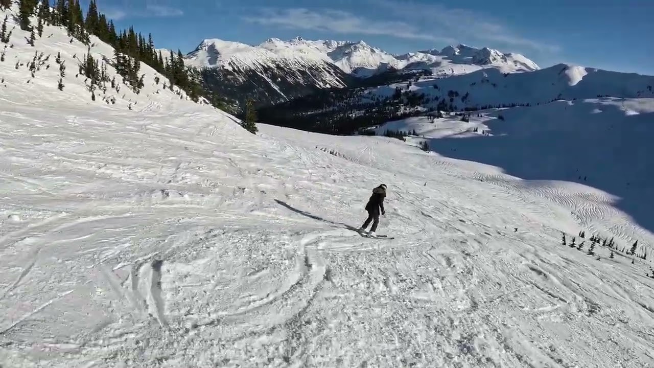 Whistler runs