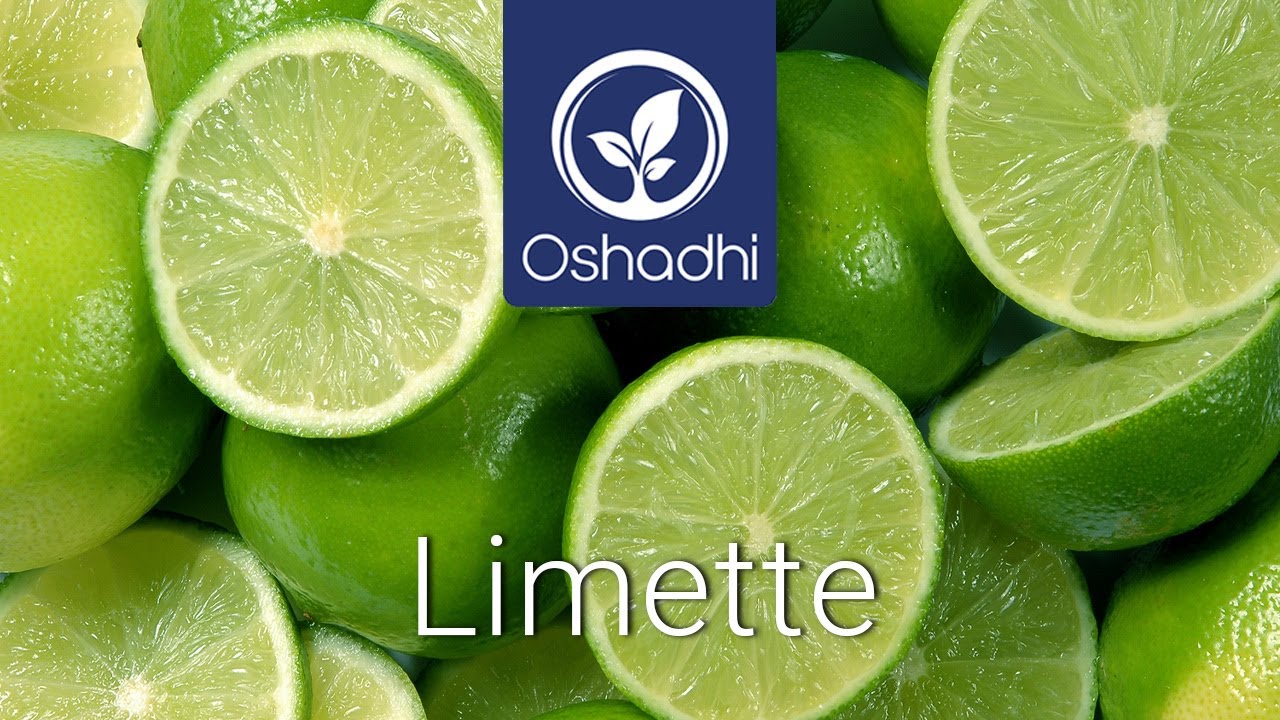 Limette | OSHADHI Pflanzenportr&auml;t von Dr.Malte Hozzel