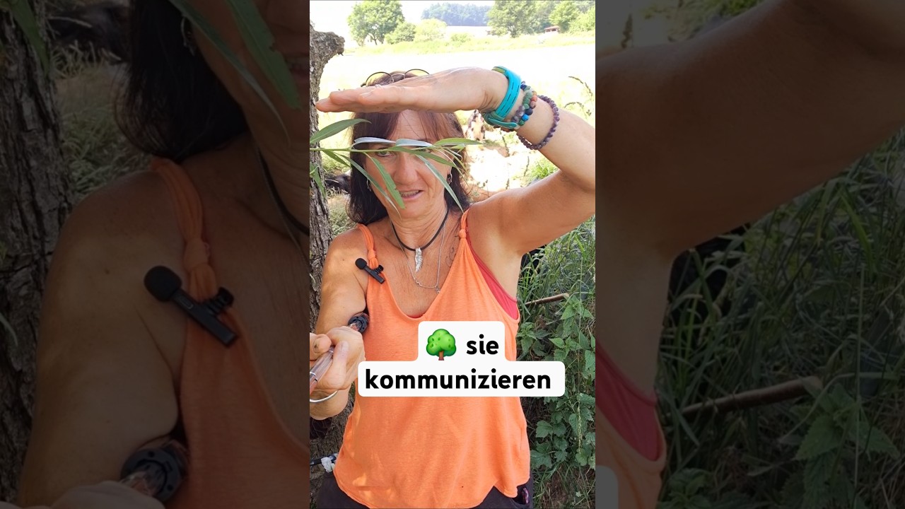 🌿 probiere das aus! B&auml;ume verstehen uns! #heilung #bewusstseinsweg #spiritualit&auml;t