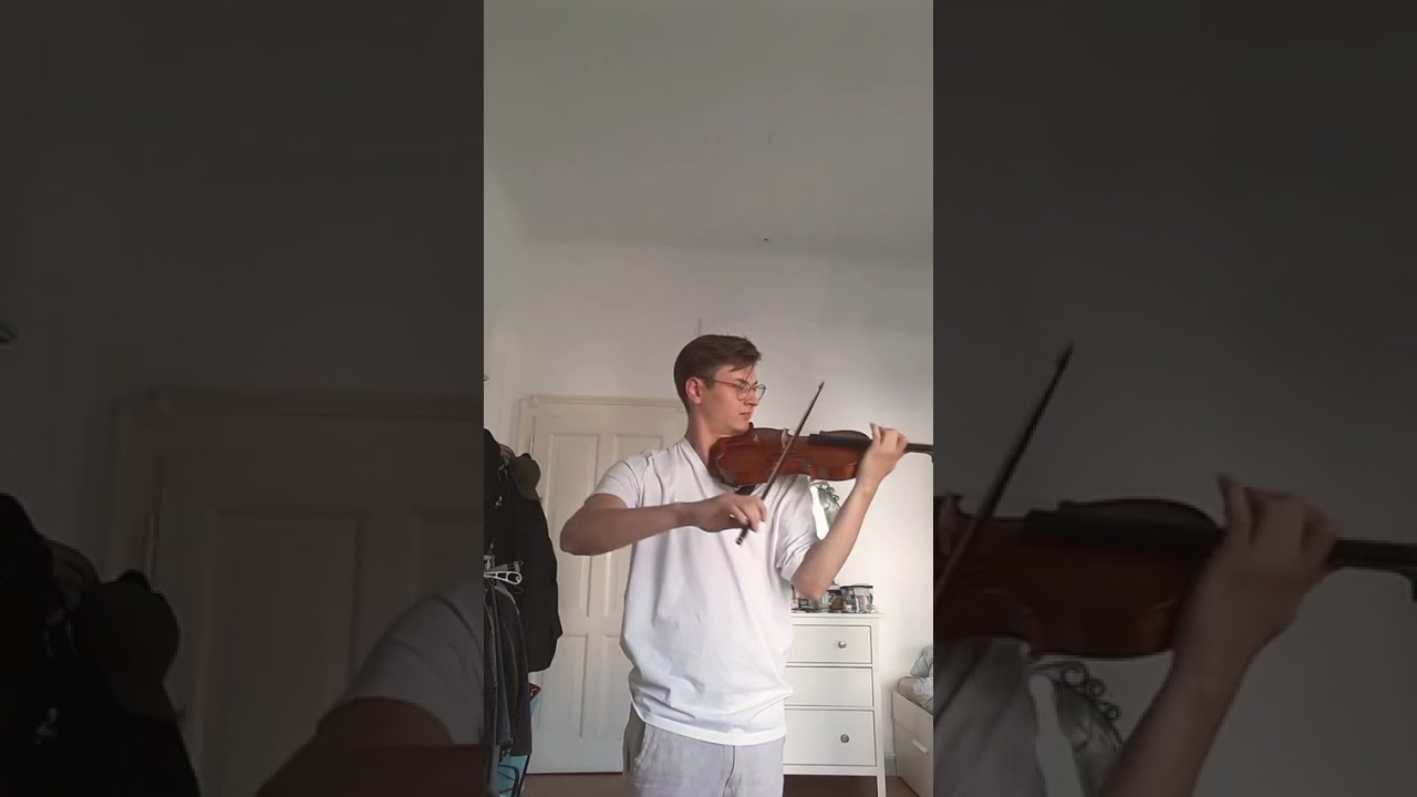 Brahms Violin Concerto 1. Mov Excerpt