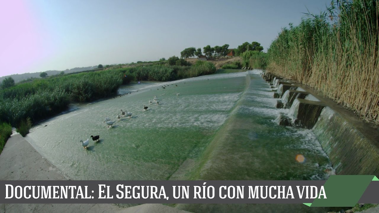 El Segura. Un río con mucha vida