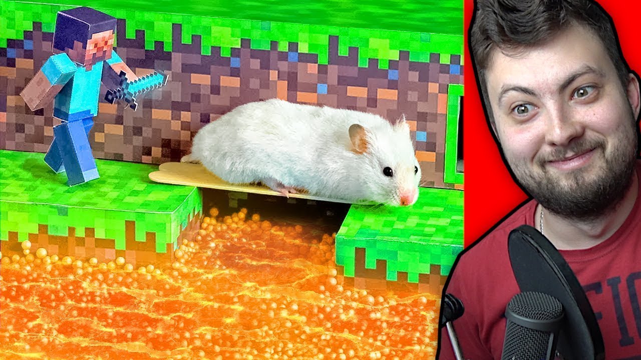 CHOMIK vs SZALONY LABIRYNT z MINECRAFT w Prawdziwym ŻYCIU!