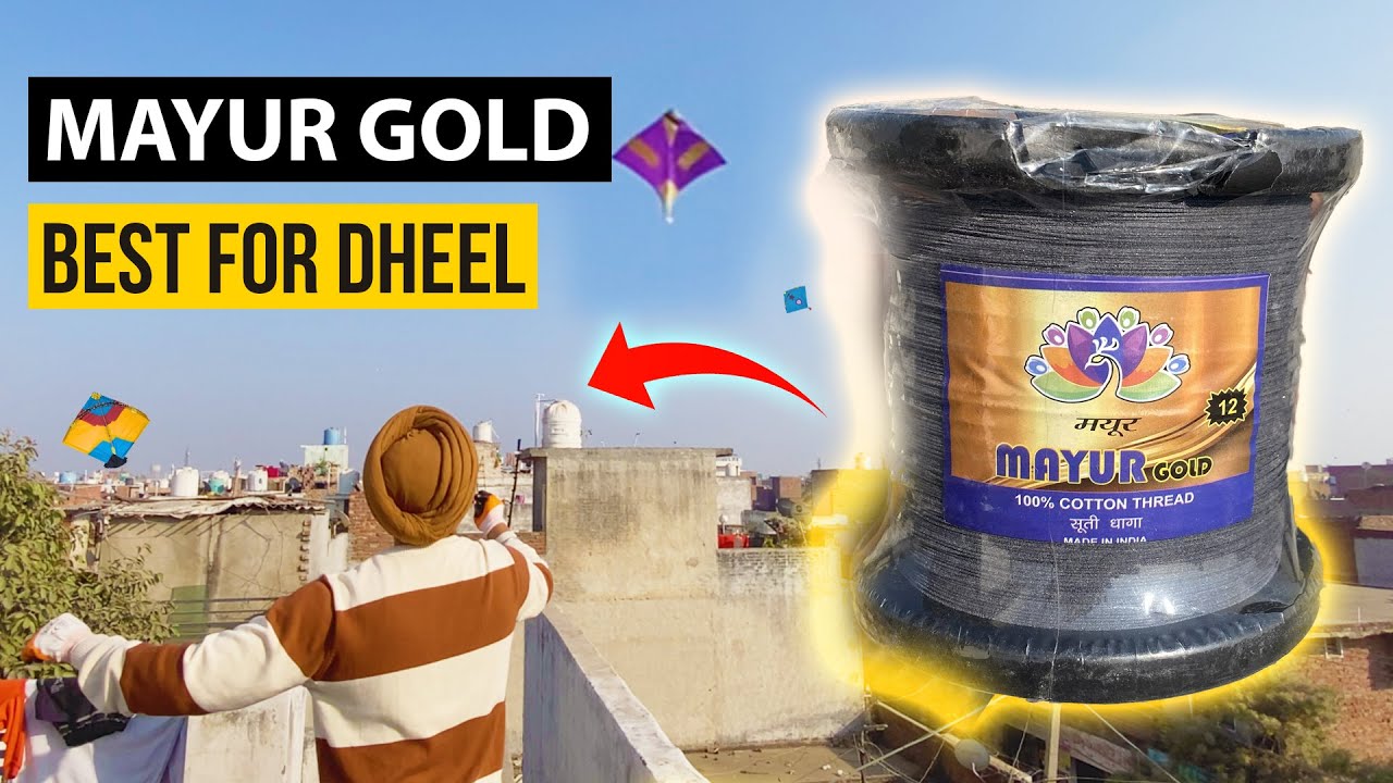 Mayur Gold Testing With Big Kites |  Best Indian gattu | #kites #mayurgold