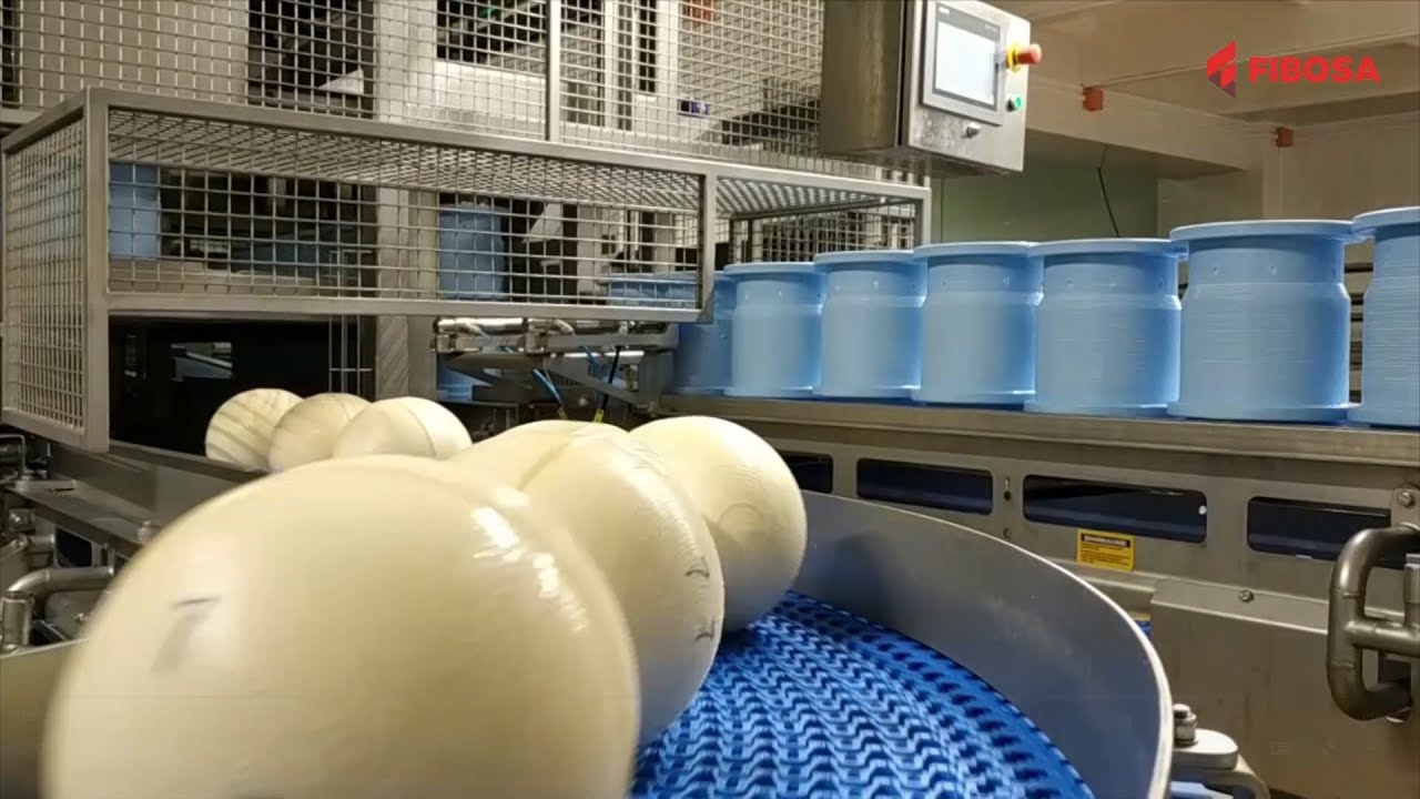 Ball cheese processing line - Línea de elaboración de queso bola | FIBOSA