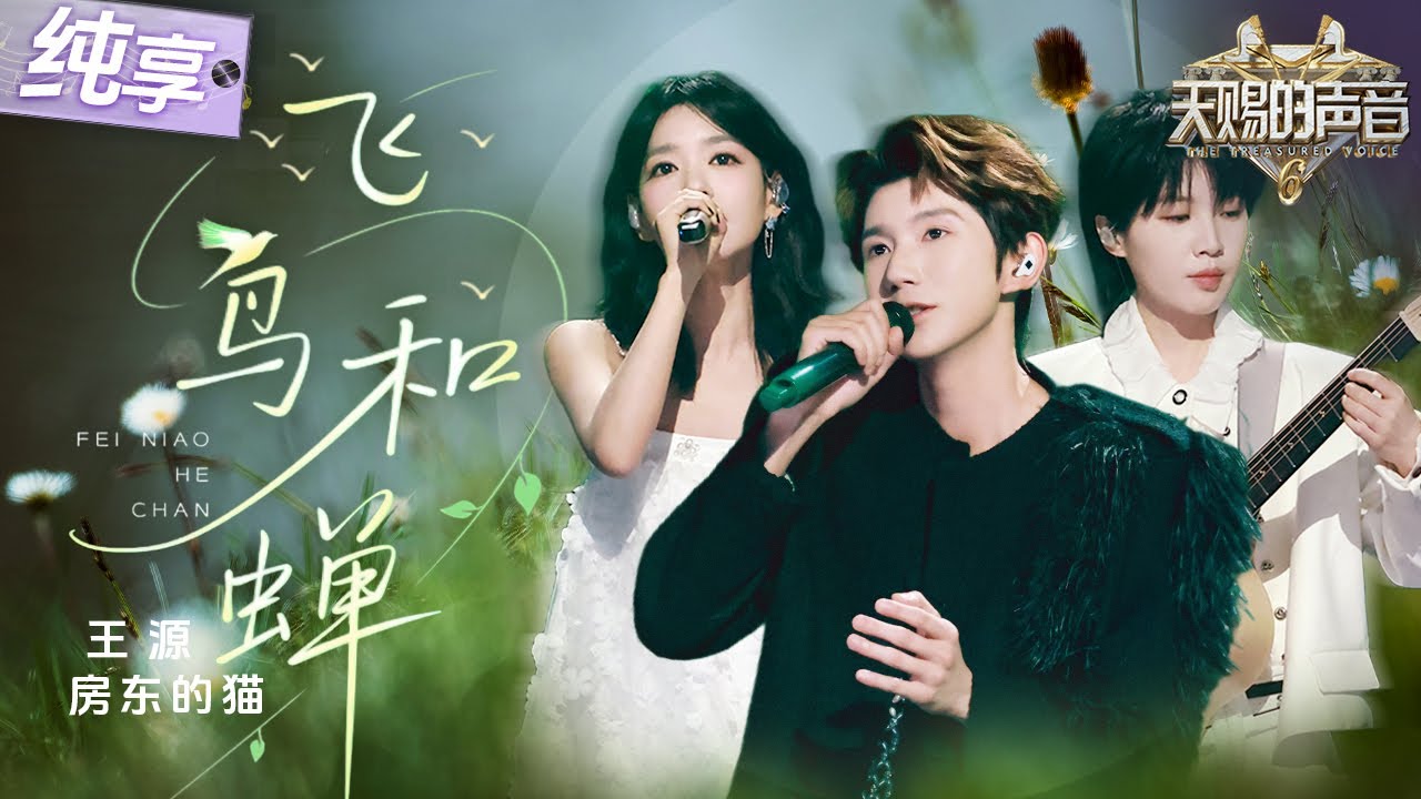 【纯享版】王源携手房东的猫演绎离别神曲《飞鸟和蝉》 少年音交织民谣治愈嗓！如同夏日清爽的凉风裹挟着青春的遗憾扑面而来！ #天赐的声音6 EP6 20250523