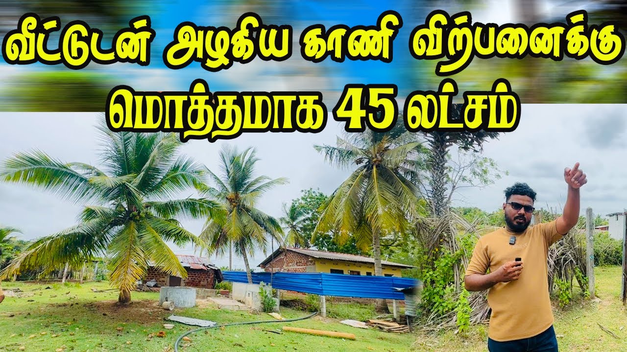 தார் வீதியை அண்மித்து மலிவு விலையில் காணி விற்பனைக்கு 