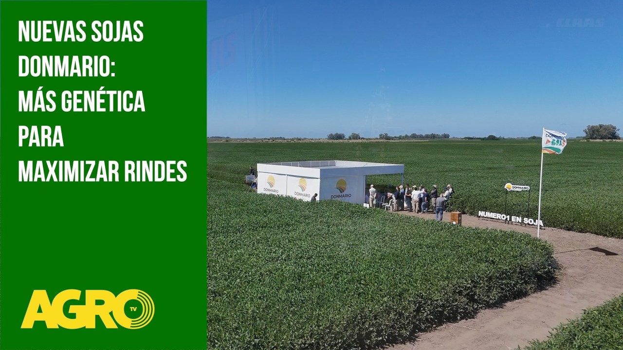 Nuevas sojas DONMARIO: más genética para maximizar rindes (#1178 2026-03-07)