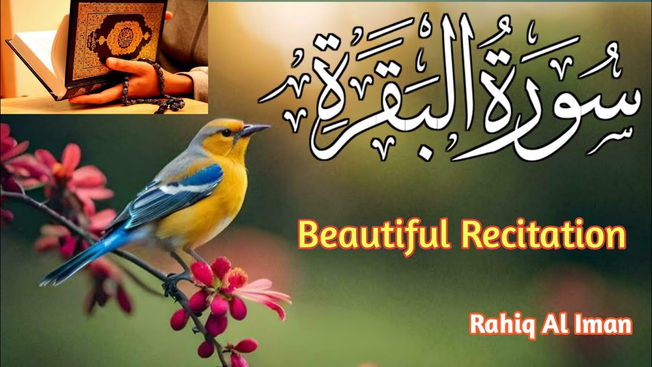Beautiful Recitation of Surah Al Baqarah Ayat | Ayet No 104 to 144 | Peaceful Recitation