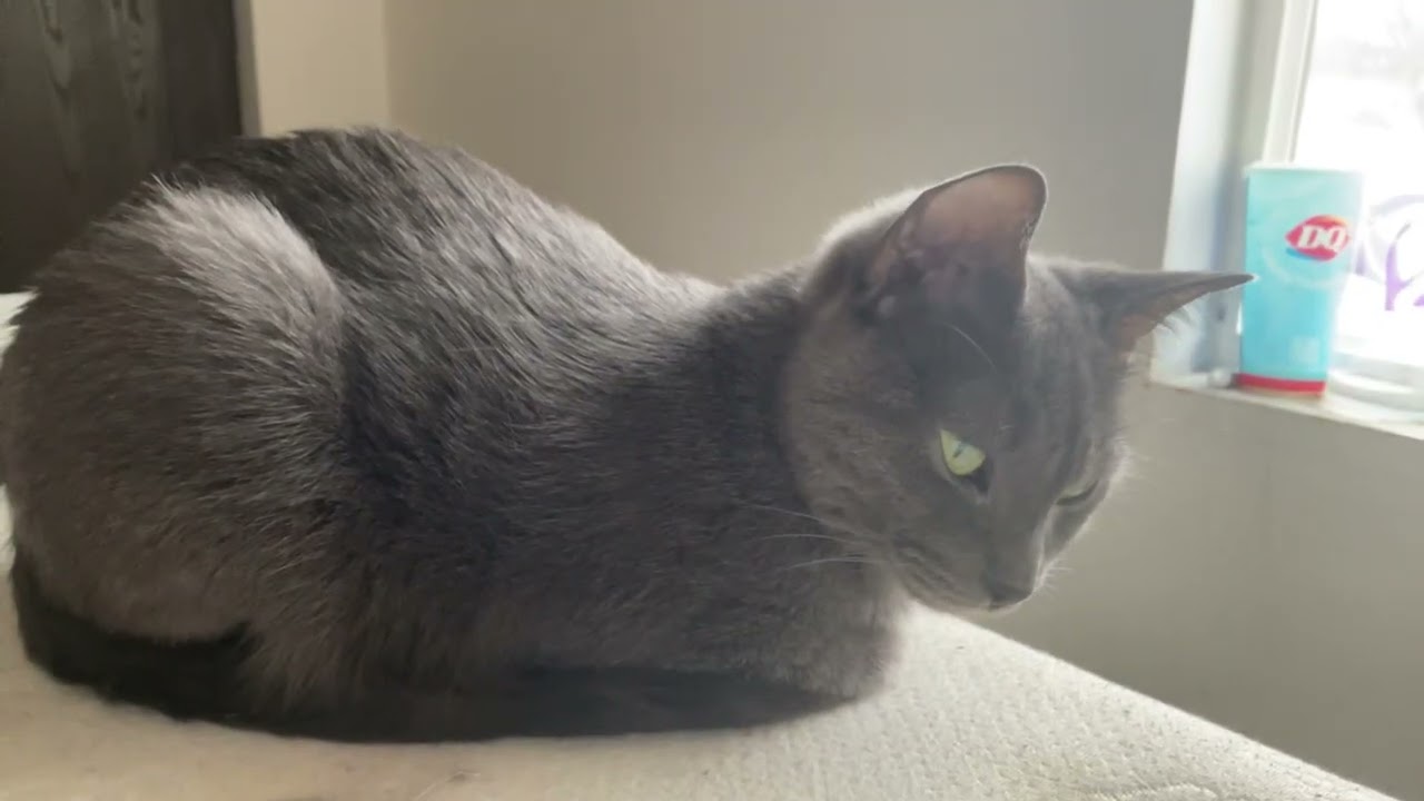 I FOUND A RARE POTATO 🥔 