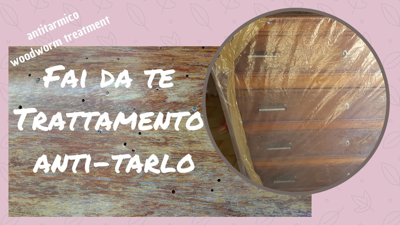 Come eseguire il trattamento anti-tarlo con il metodo camera a gas