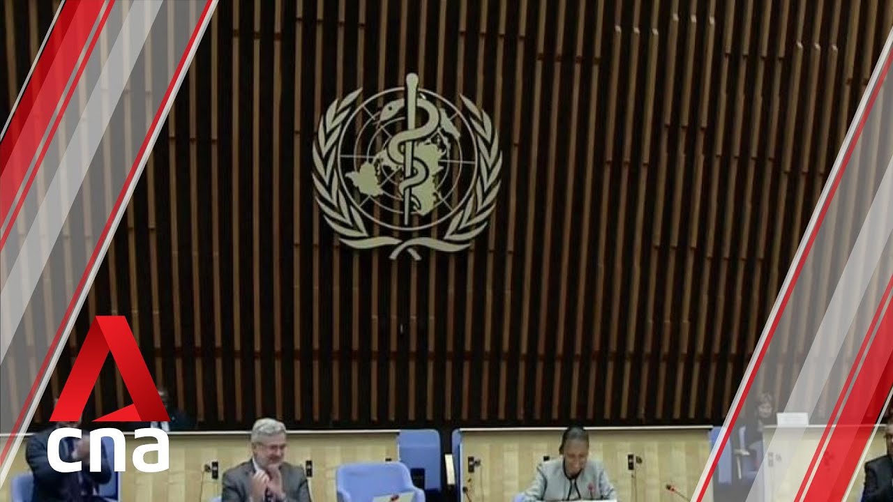 EU resolution on COVID-19 pandemic adopted at WHO assembly