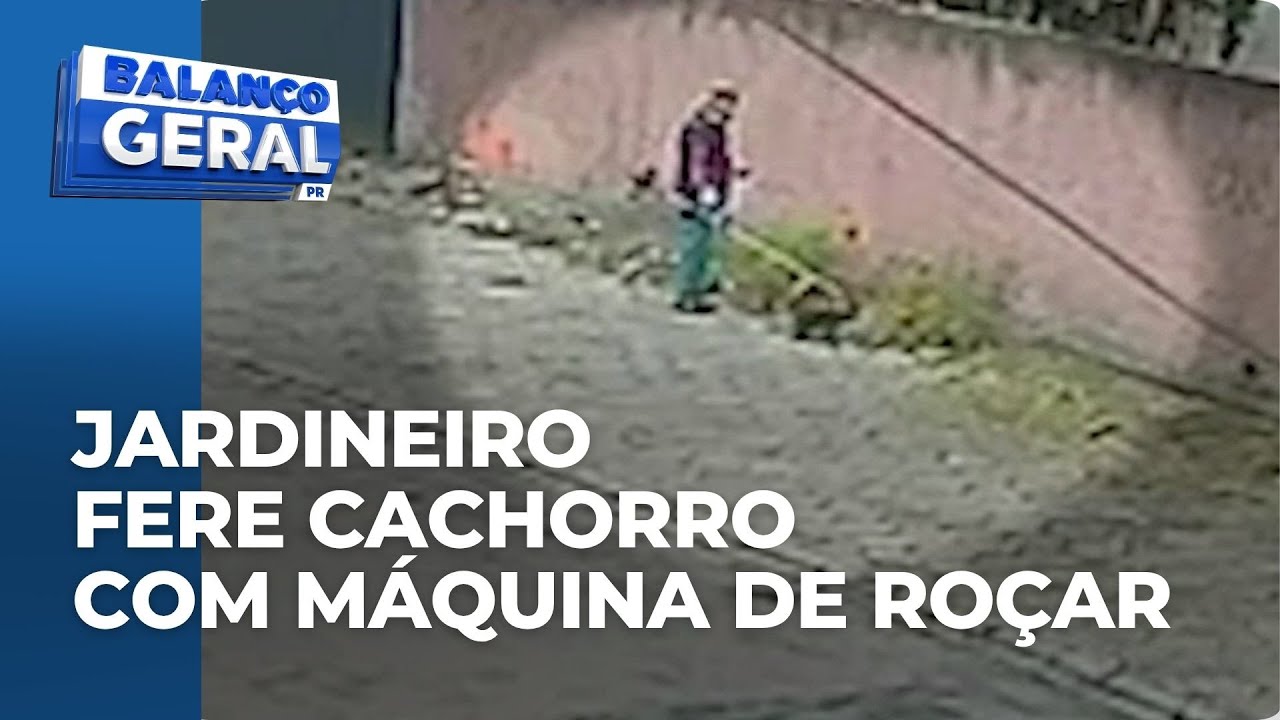 Novas imagens mostram jardineiro ferindo cachorro com máquina de roçar grama ao lado de delegacia