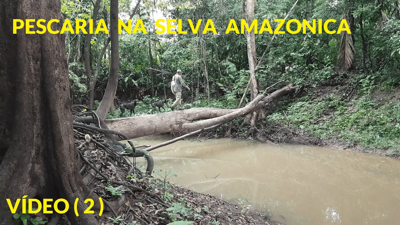 COMUNIDADE SÃO FRANCISCO DA MANGUEIRA - AMAZONAS - VÍDEO  ( 2 )