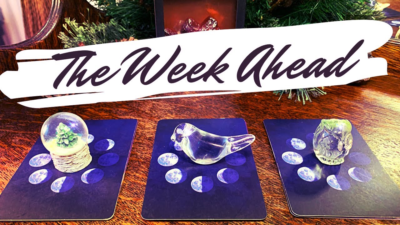 Pick a Card 🔮 Your Week Ahead ✨ Timeless Reading