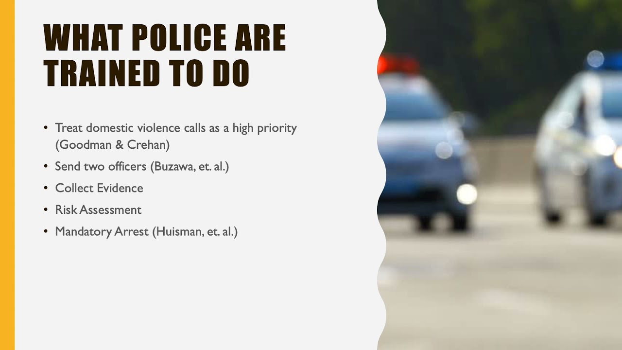 Police Response To Domestic Violence