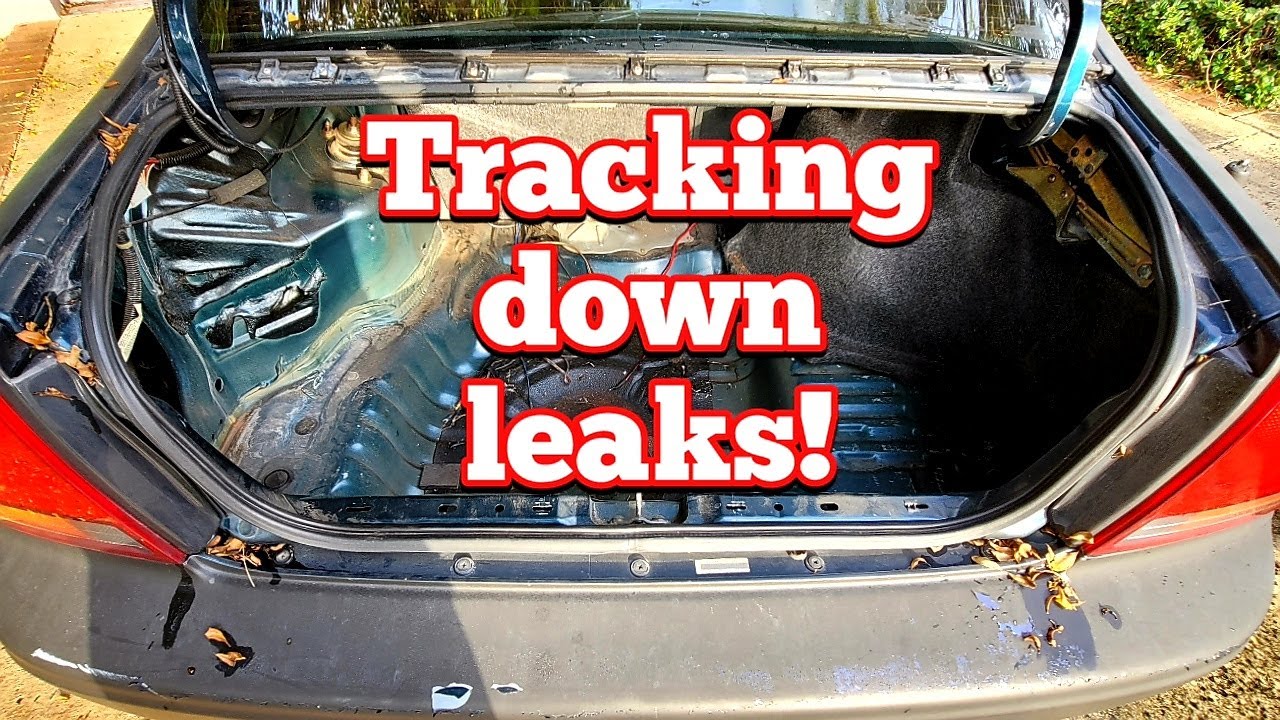 Prelude trunk leaks found!! What  to look for | Rust check