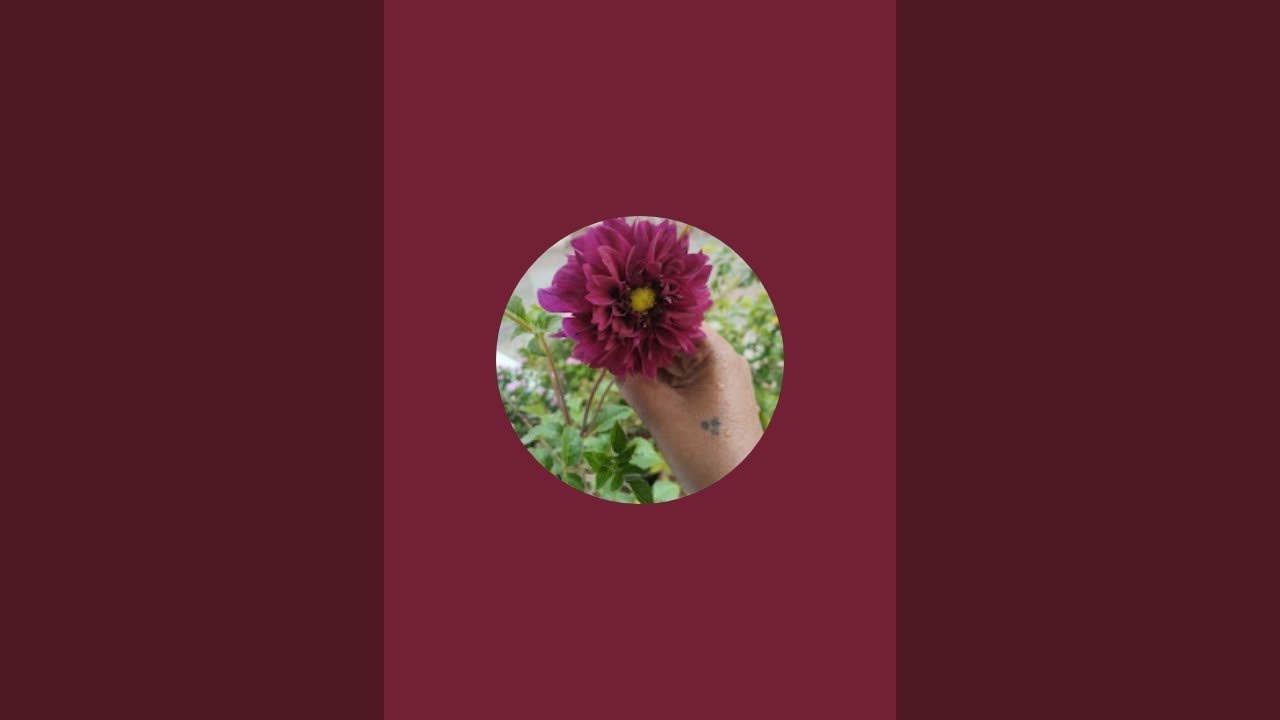 பொங்கல் கோலம்🌺🌺 வாங்க போடலாம்🌺🌺🌺