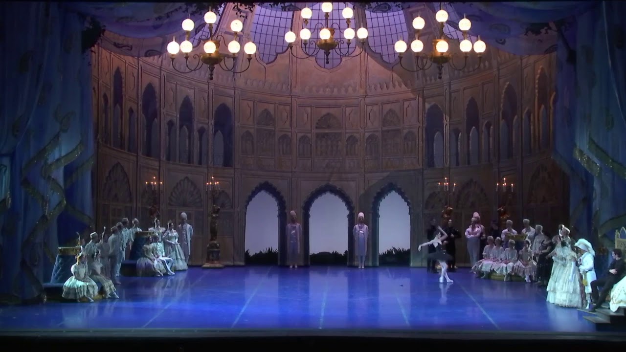 Black Swan Solo  -  Susanna Salvi