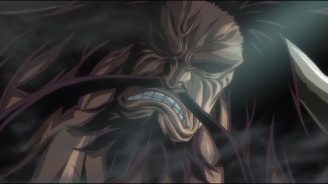 Kaido's Introduction [Episode 739]