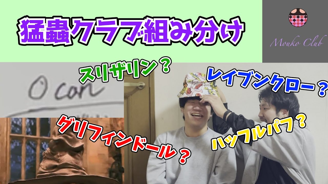 【組み分け帽子】スリザリンは嫌だ！猛蟲クラブを4つの寮に分けてみよう！【ハリーポッター】