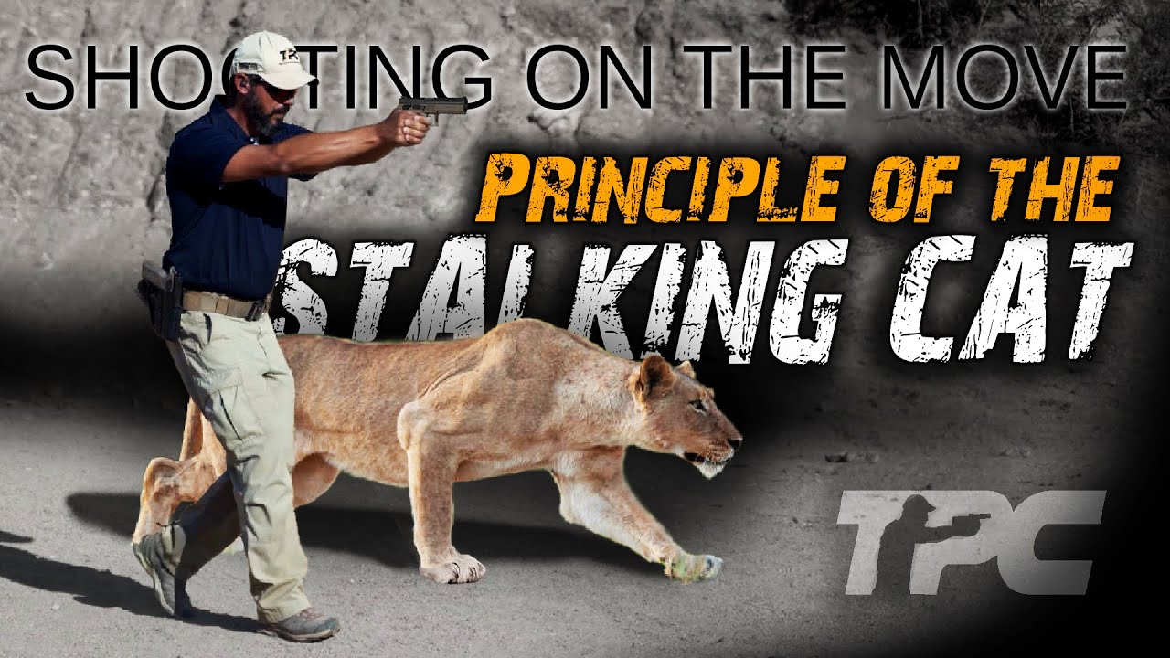 Mastering Shooting On The Move: The Stalking Cat Principle