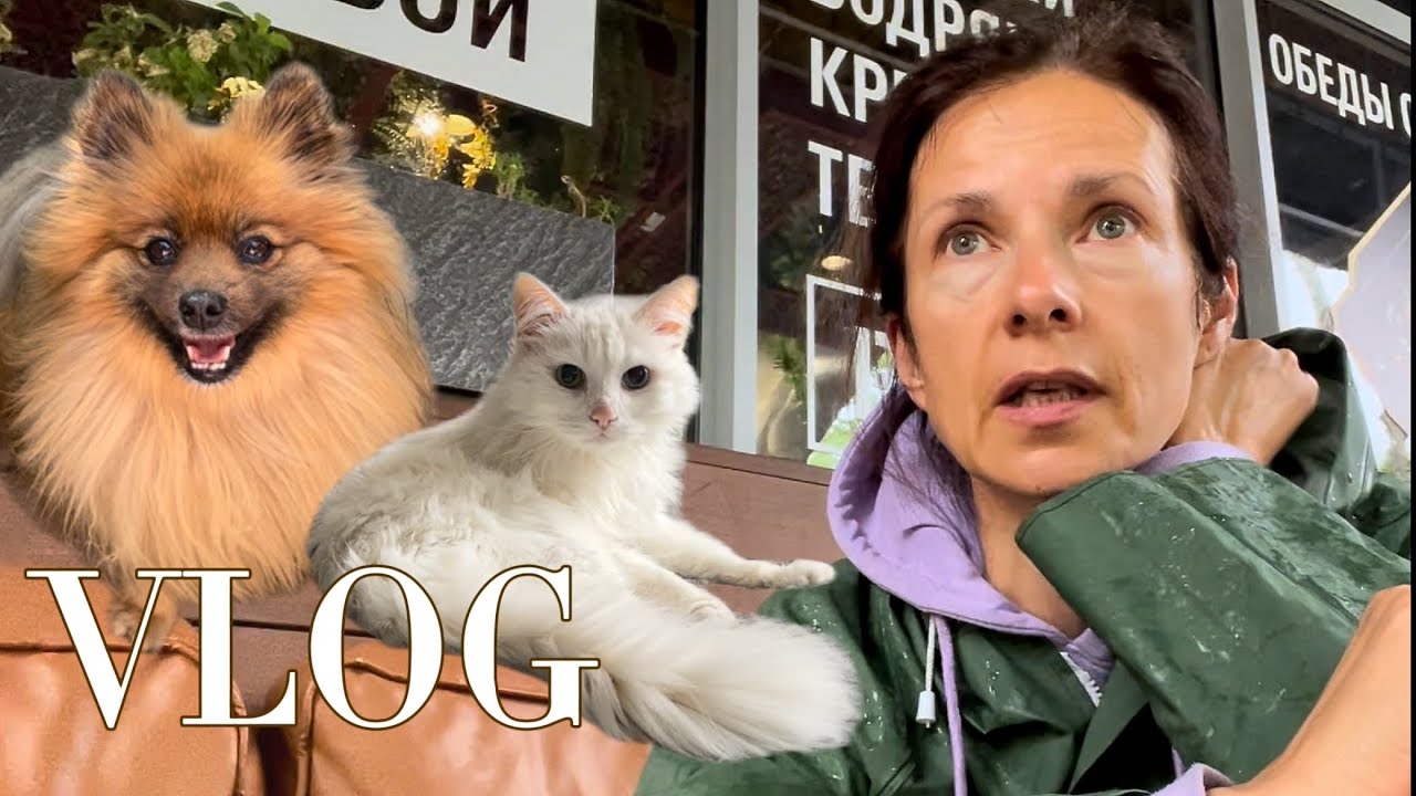 Вы ещё здесь? Вещи не продаются, что делать? Отвечаю на вопросы Интересные места Калининград