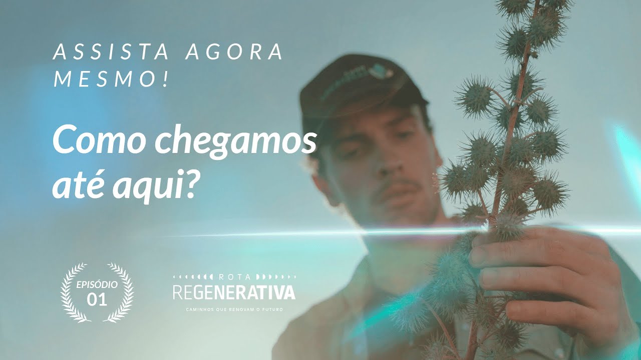 Rota Regenerativa | Episódio 1: Como chegamos até aqui?