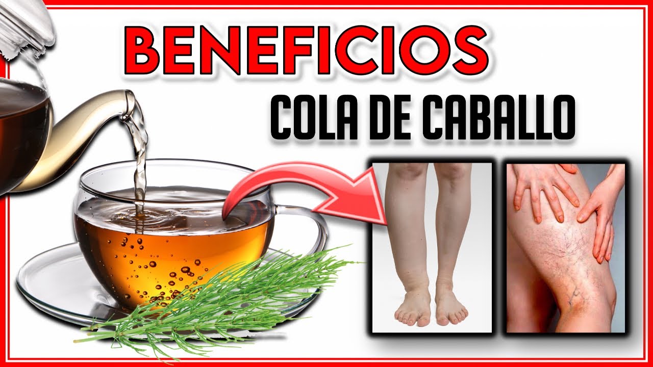 &iquest;Qu&eacute; OCURRE si bebemos COLA DE CABALLO todos los DIAS? || &iexcl;5 BENEFICIOS que DESCONOCIAS!